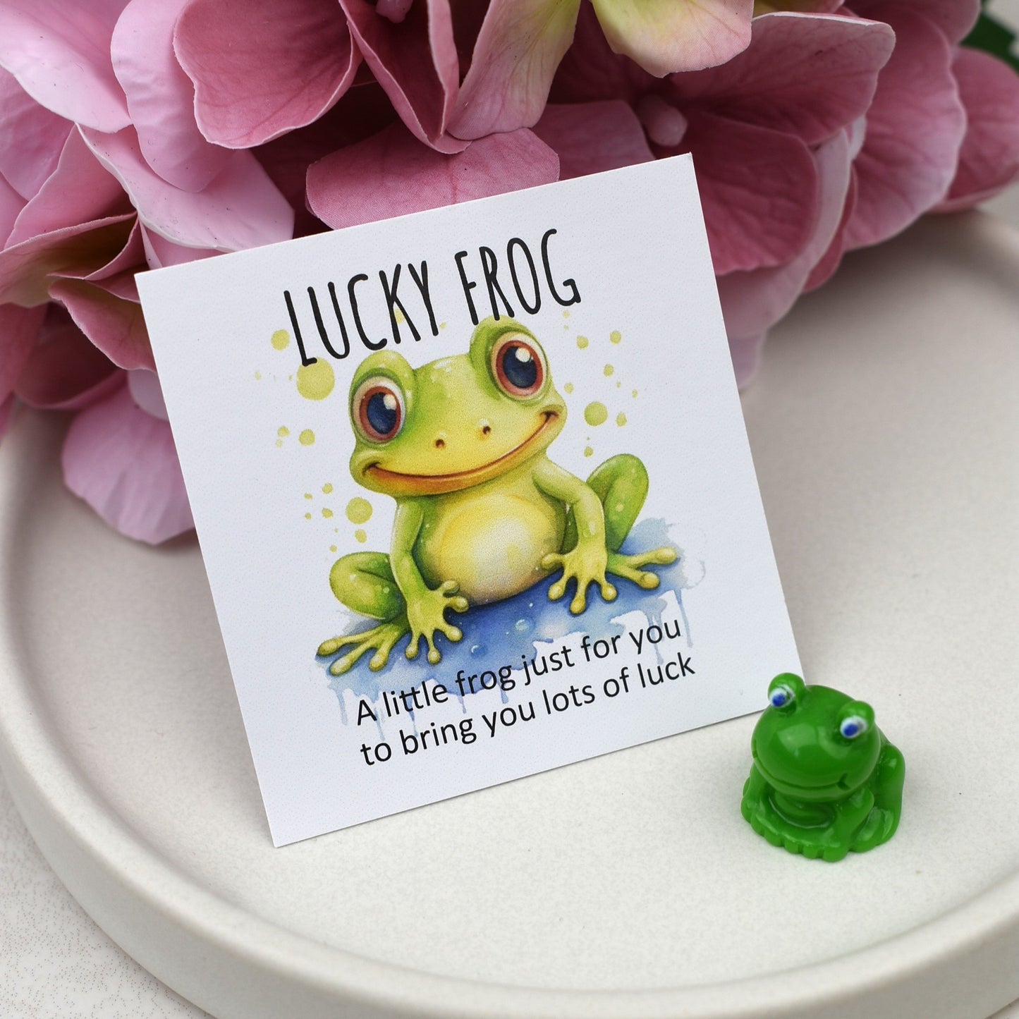 CLEARANCE - Lucky Frog