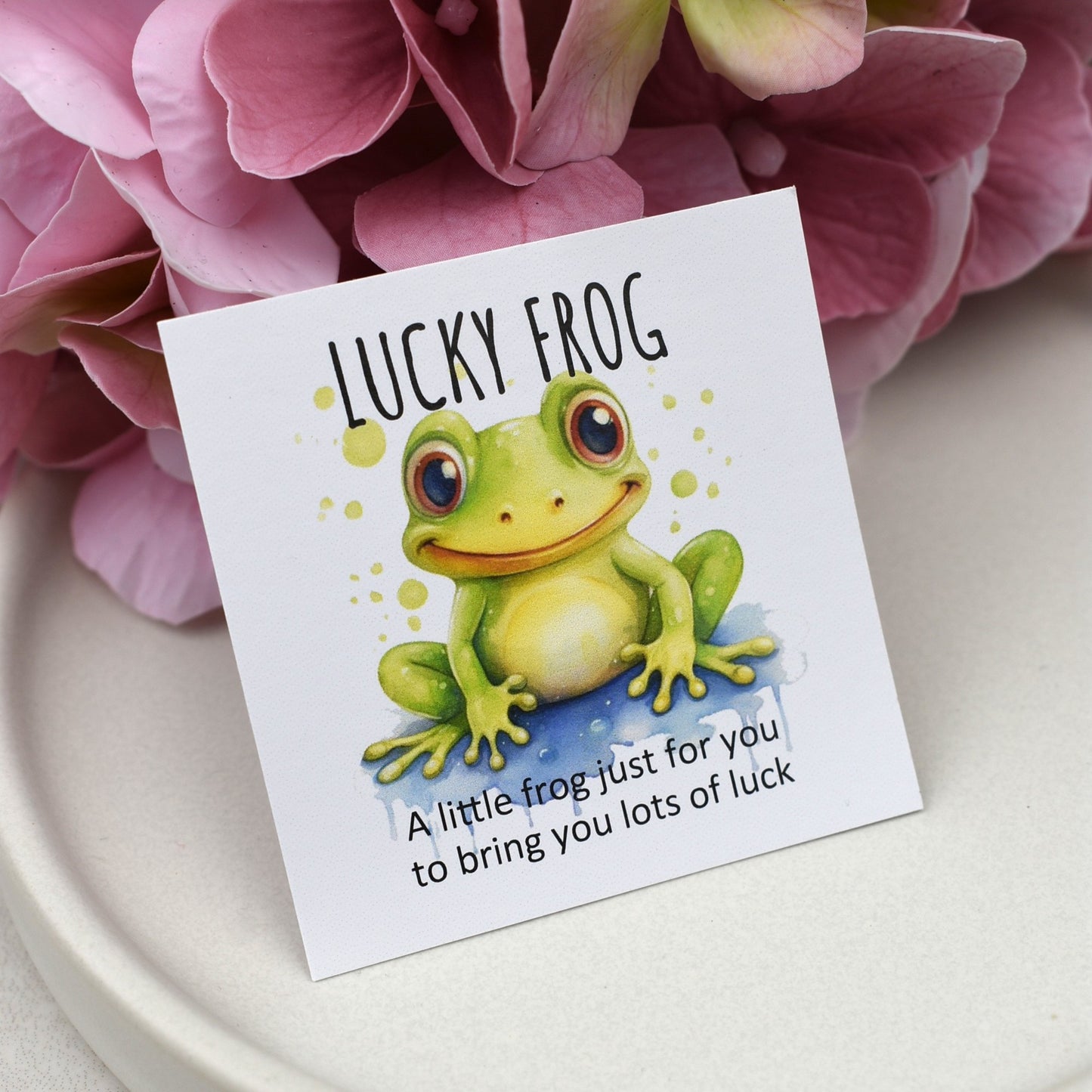 CLEARANCE - Lucky Frog