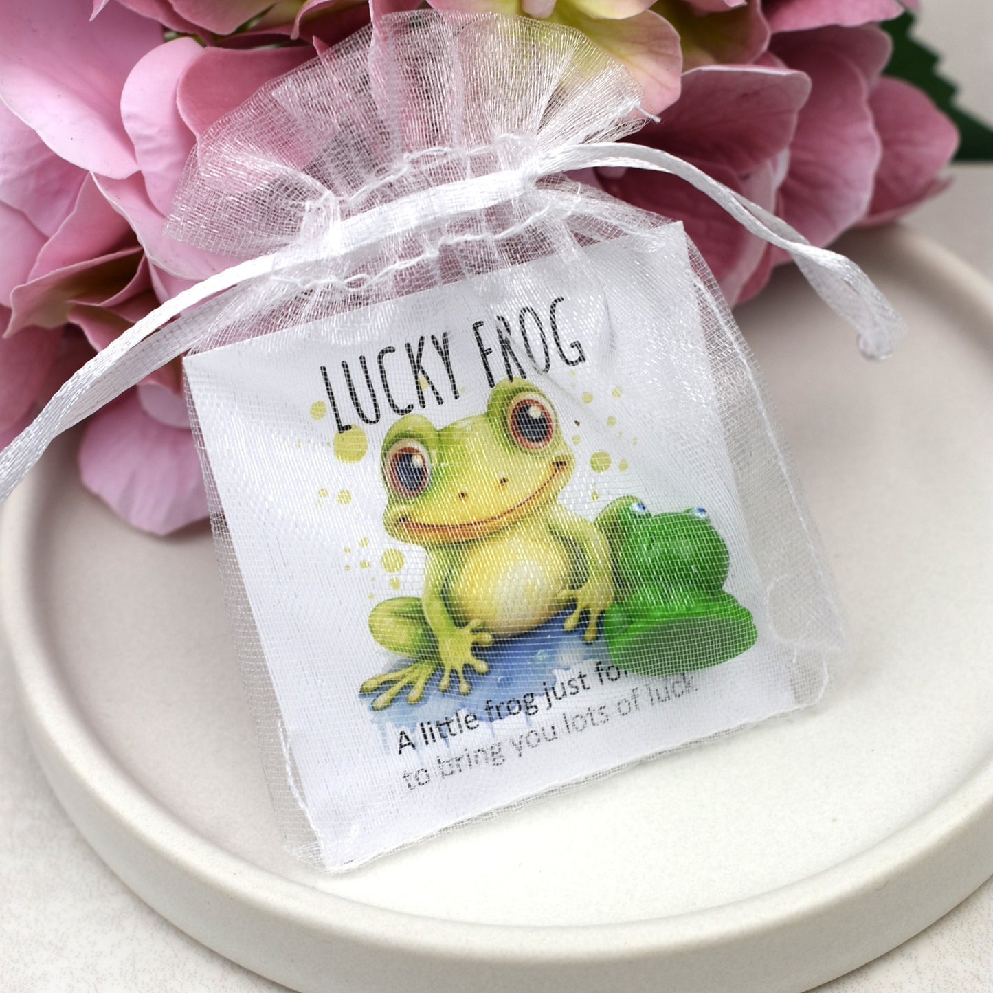 CLEARANCE - Lucky Frog