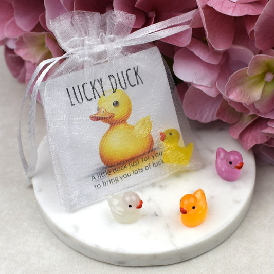 CLEARANCE - Lucky Duck - Luminous