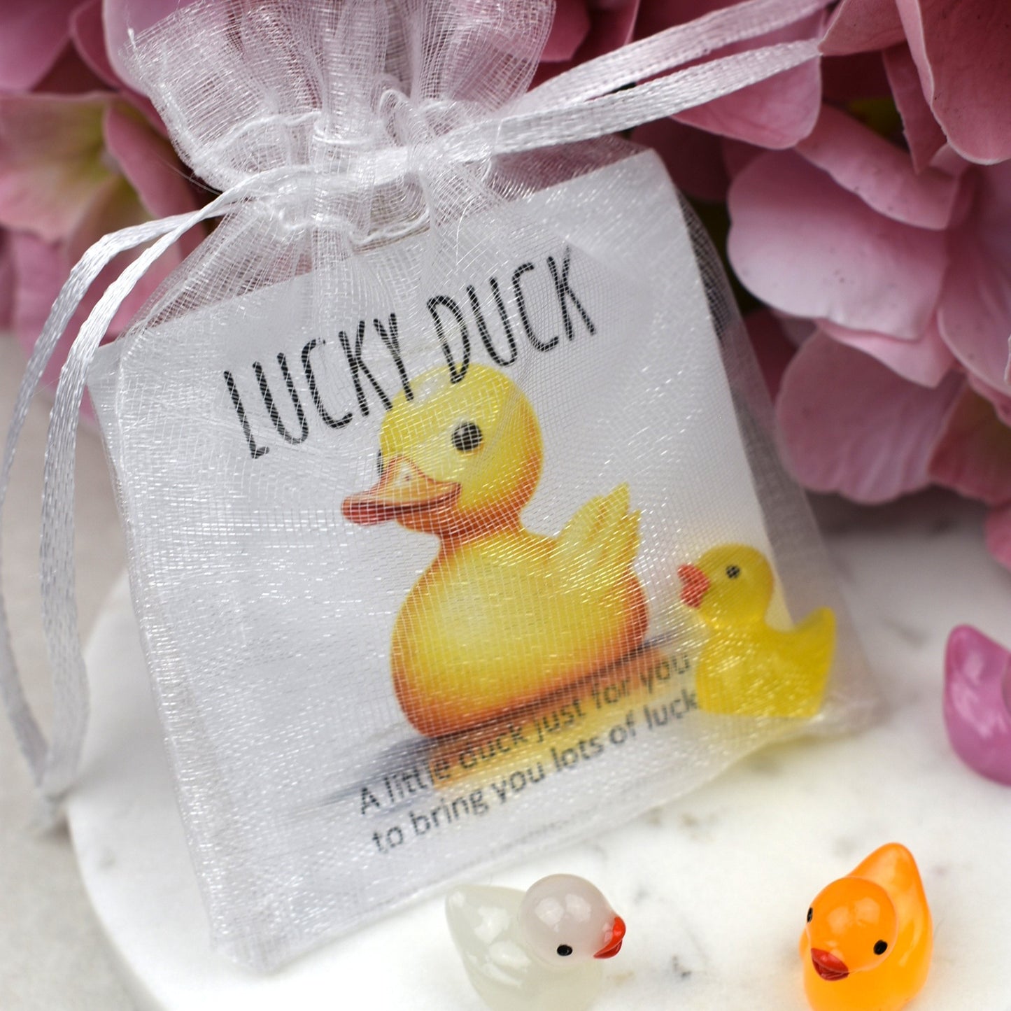 CLEARANCE - Lucky Duck - Luminous
