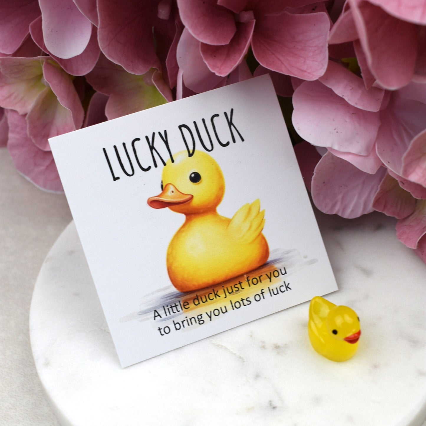 CLEARANCE - Lucky Duck - Luminous