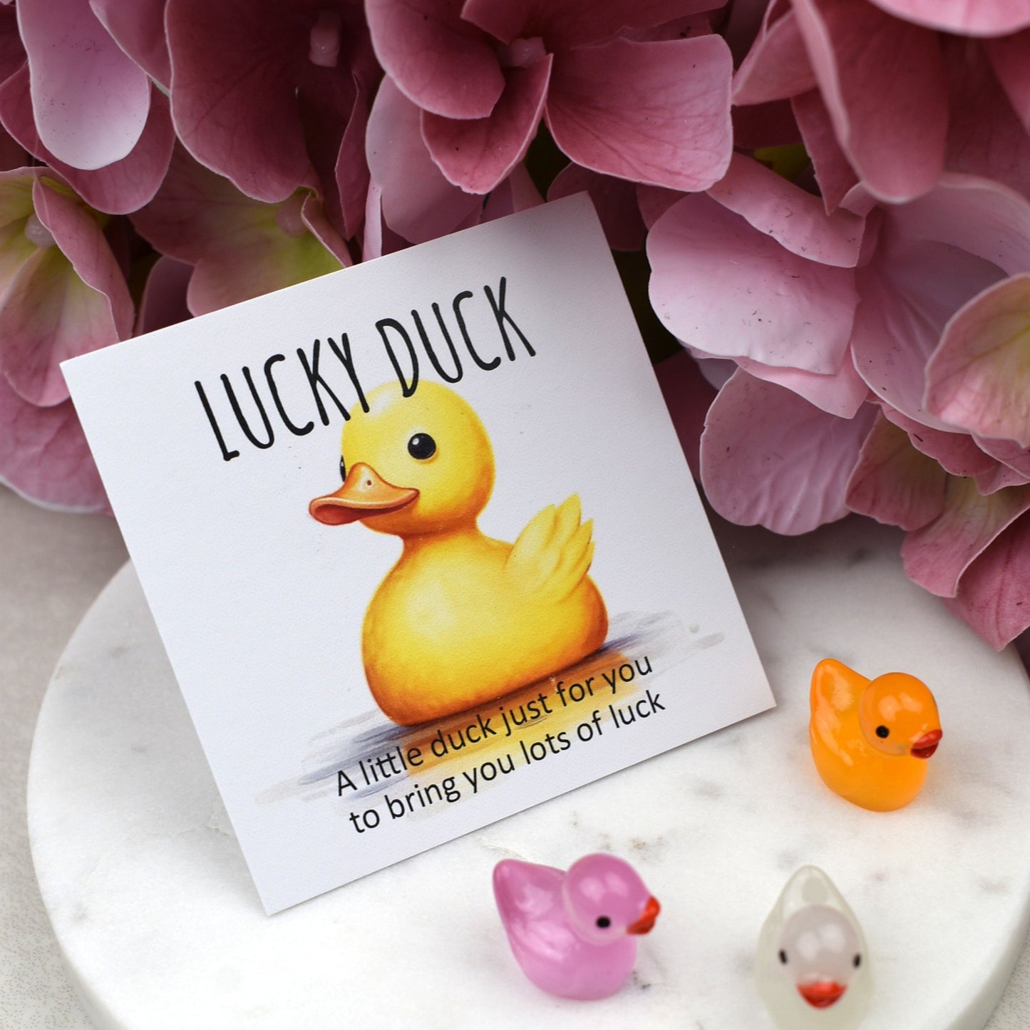 CLEARANCE - Lucky Duck - Luminous