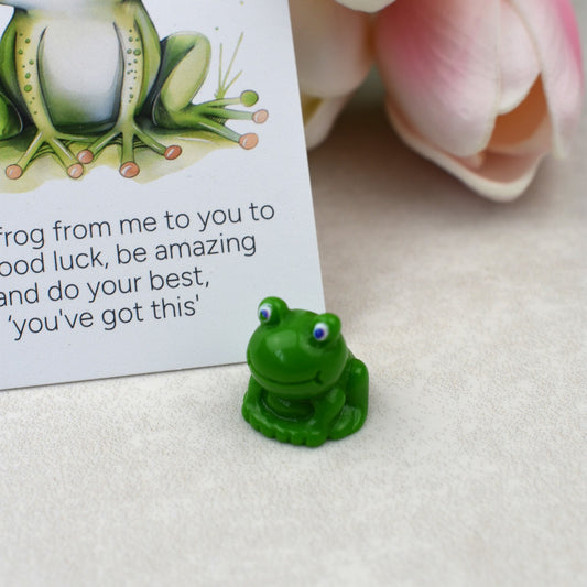 Positive Frog Good Luck Gift | Exam Good Luck Charm | Encouragement Gift for Students & Friends