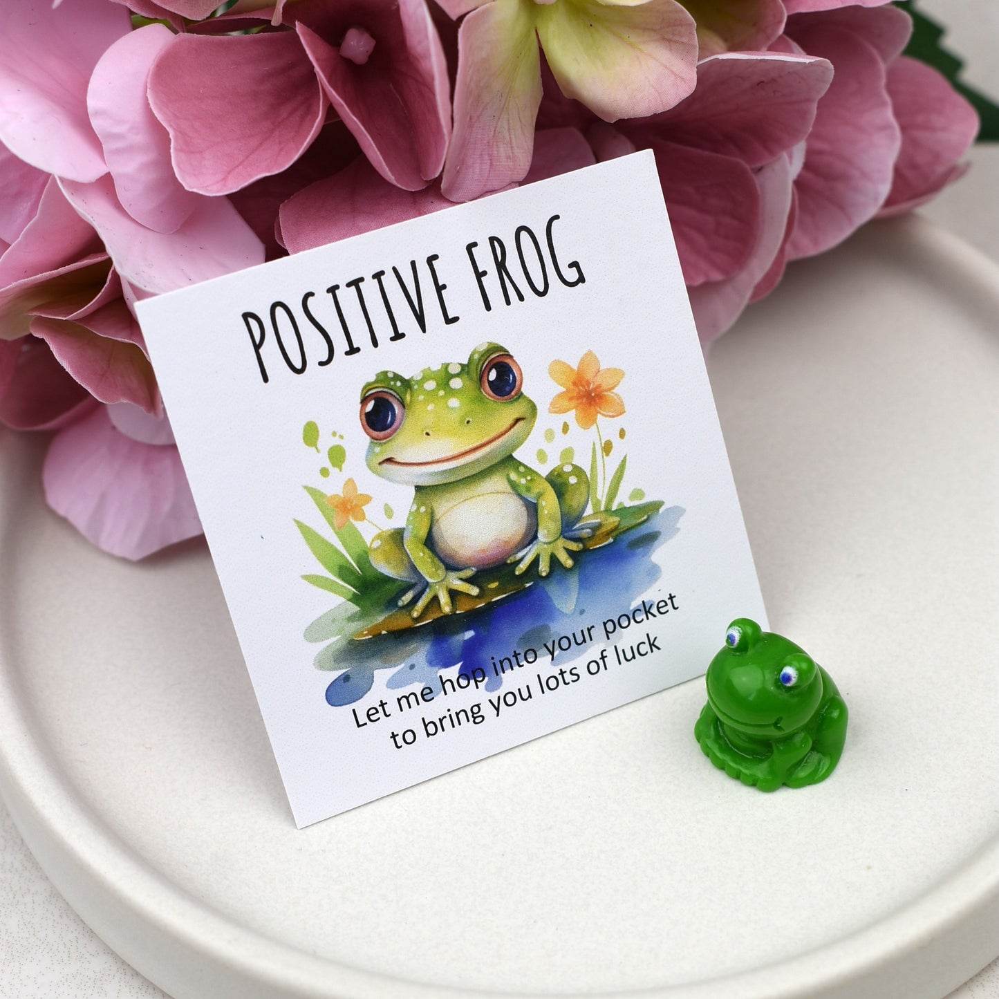 CLEARANCE - Positive Frog - Lots of Luck
