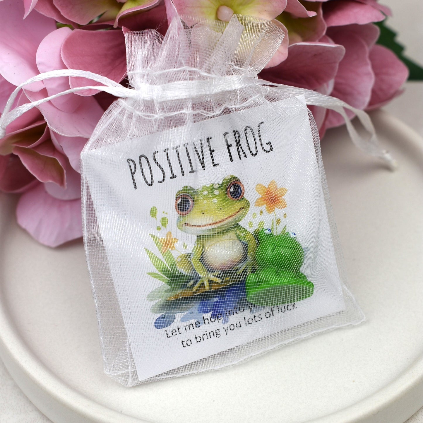 CLEARANCE - Positive Frog - Lots of Luck