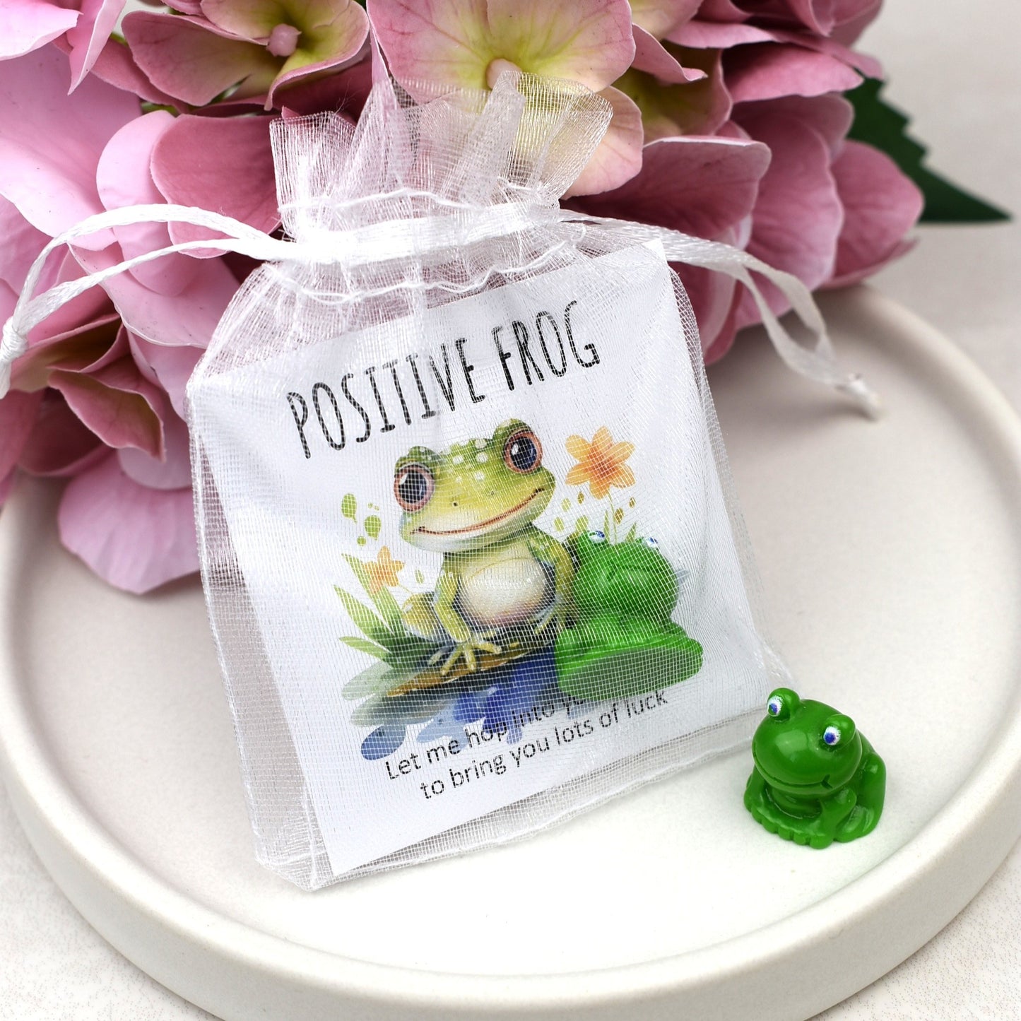 CLEARANCE - Positive Frog - Lots of Luck