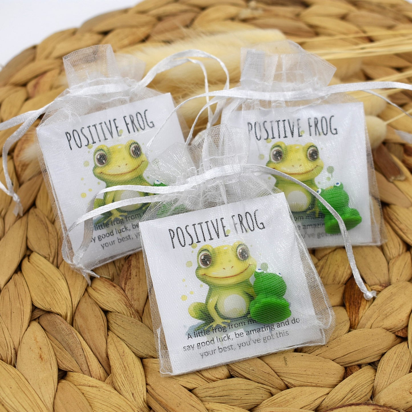 Positive Frog - You've Been Amazing