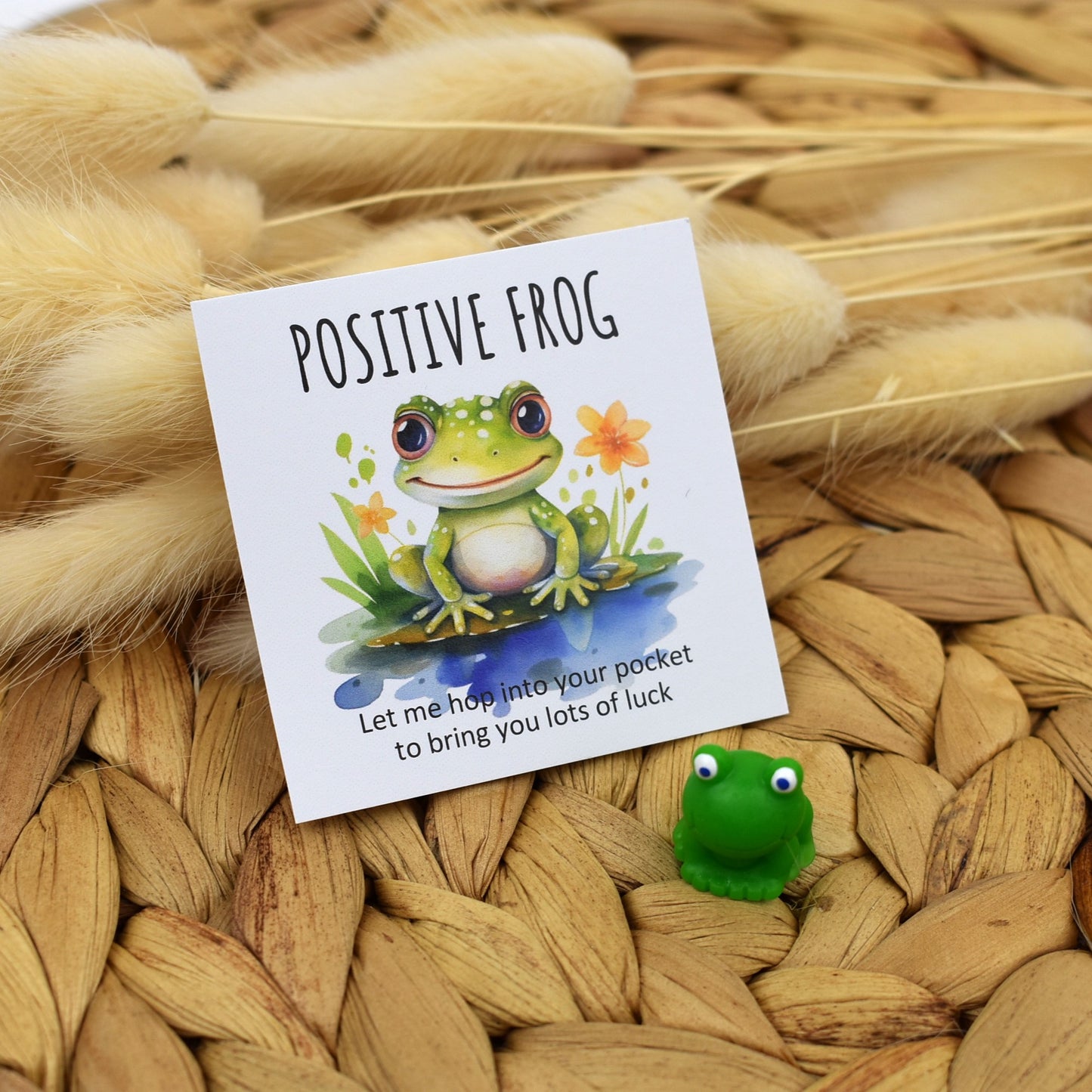 Positive Frog - Hop In Your Pocket