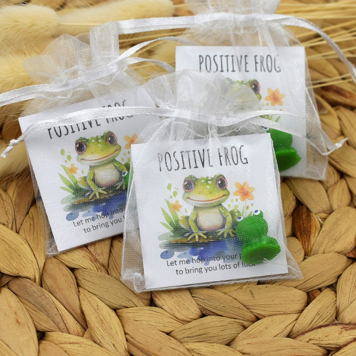 Positive Frog - Hop In Your Pocket