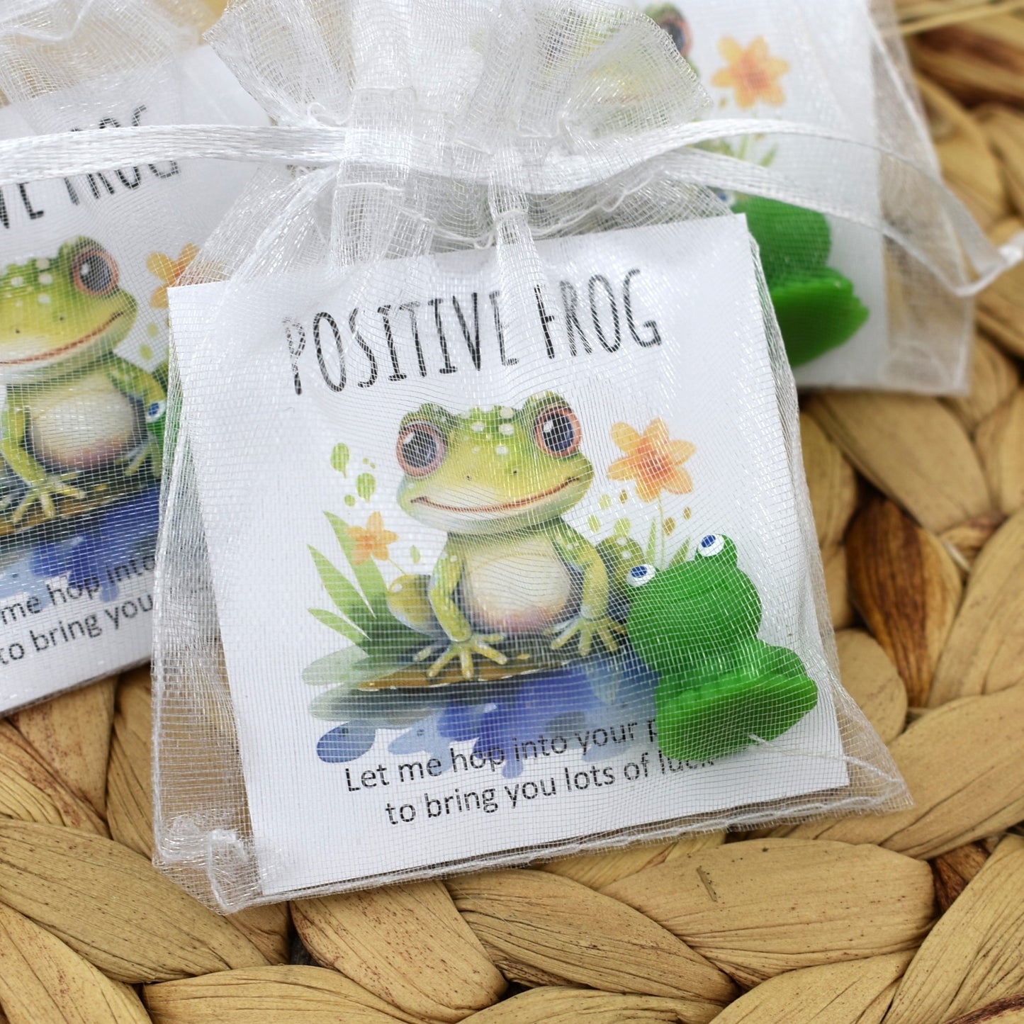 Positive Frog - Hop In Your Pocket