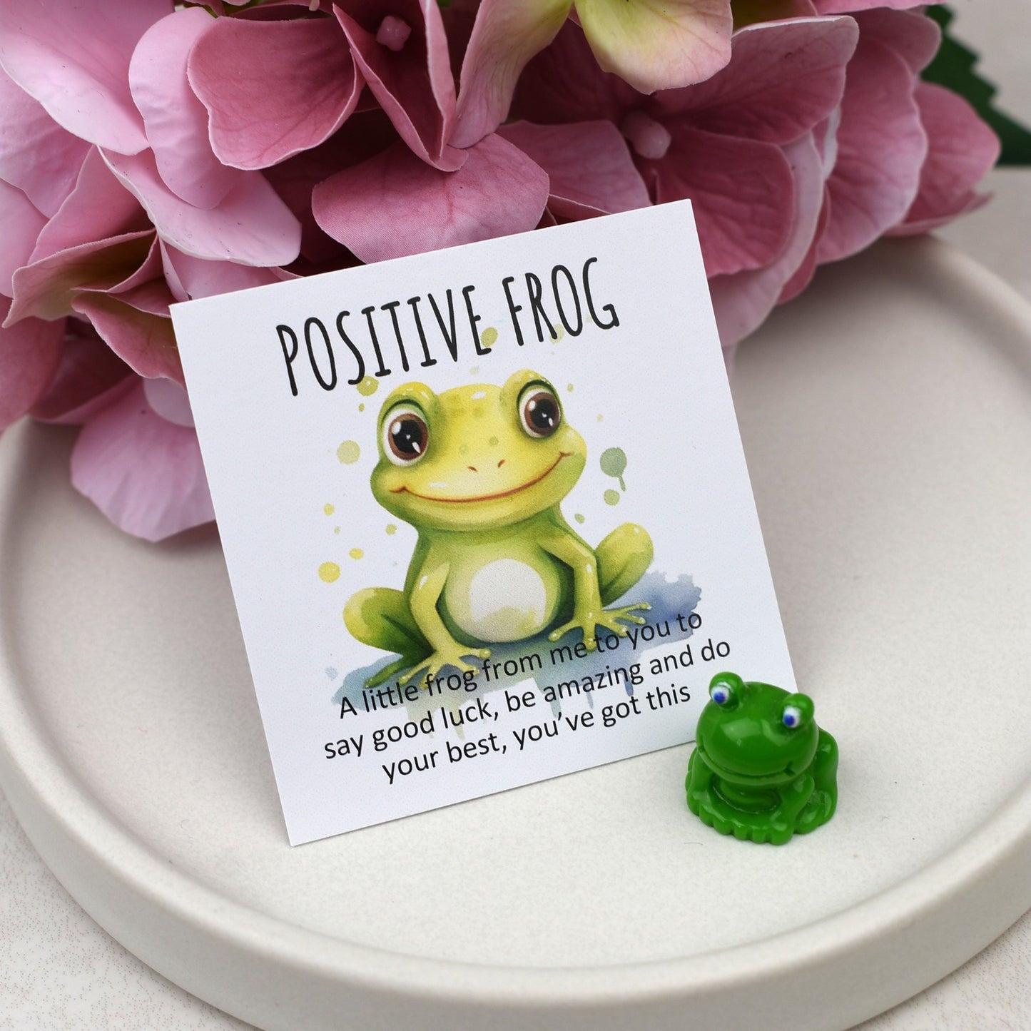 CLEARANCE - Positive Frog - You've Got This