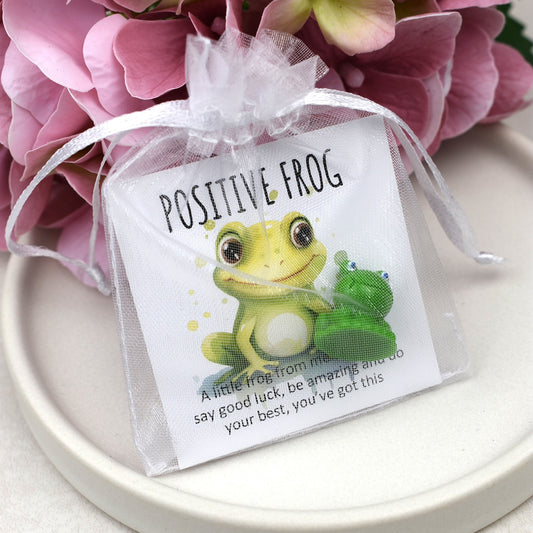 CLEARANCE - Positive Frog - You've Got This