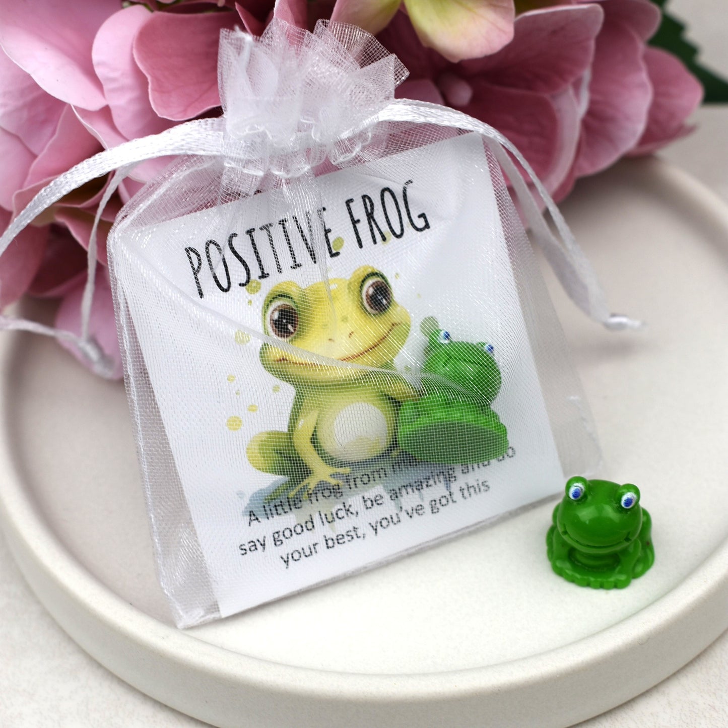 CLEARANCE - Positive Frog - You've Got This