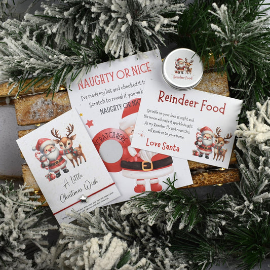 Reindeer Food, Wish Bracelet and Nice List Set (1045)