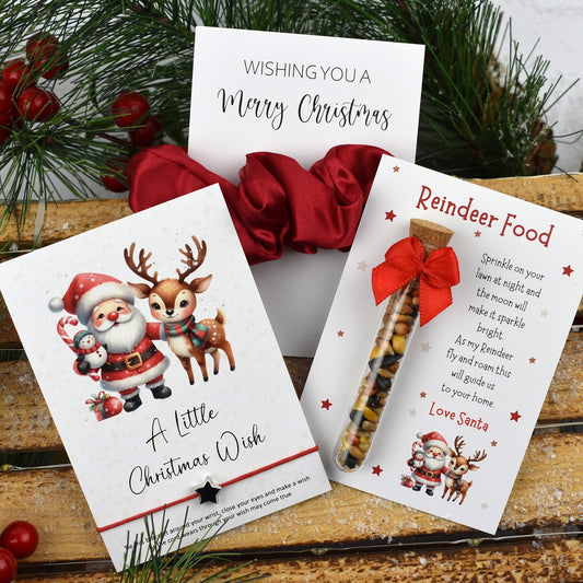 Reindeer Food, Scrunchie & Wish Bracelet (1045-1)