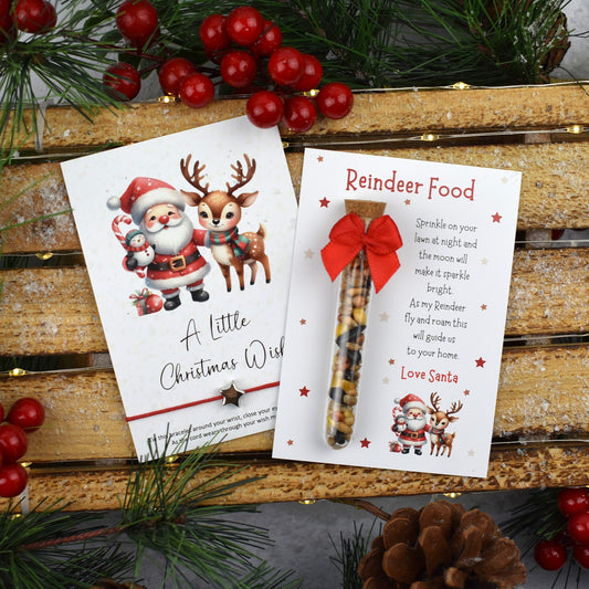 Reindeer Food Tube & Wish Bracelet Set (1045)