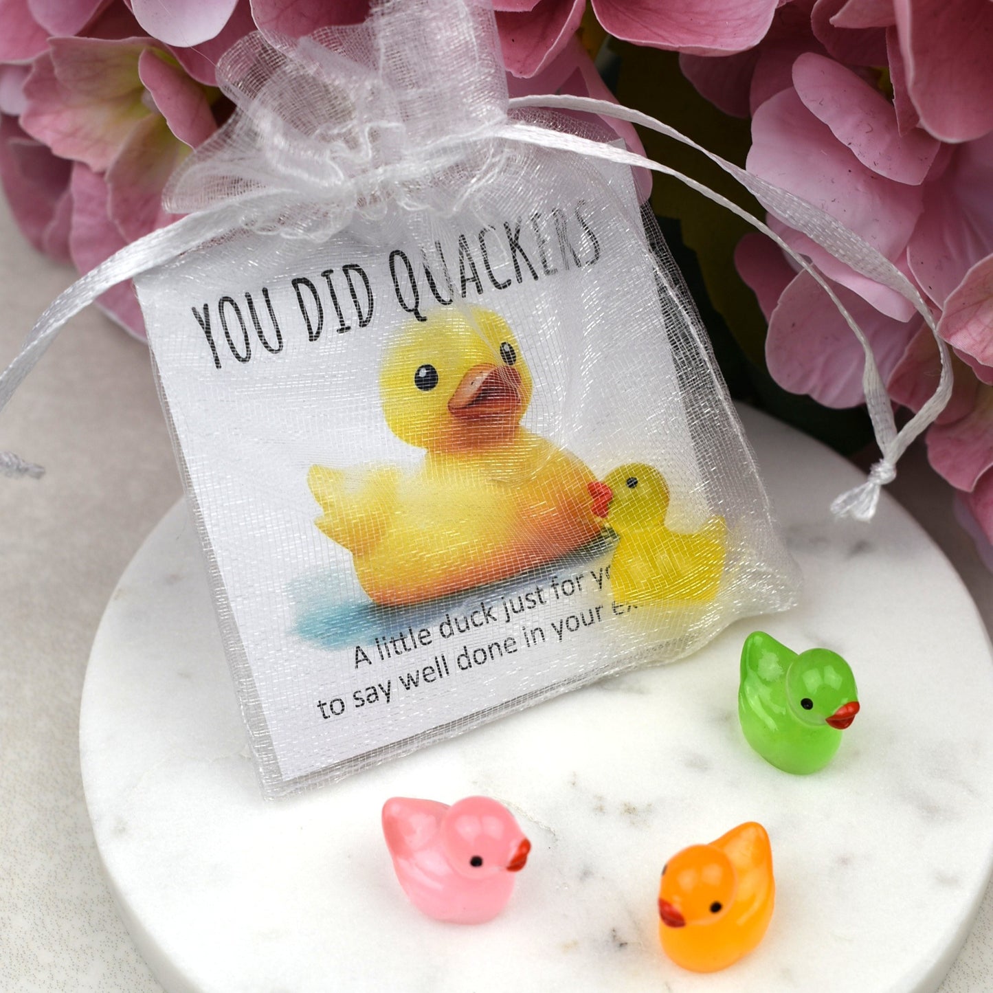 CLEARANCE - You Did Quackers Duck - Luminous Duck