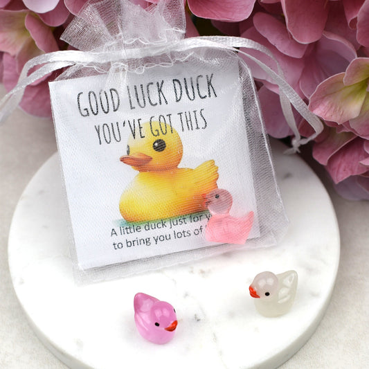 CLEARANCE - Good Luck Duck You've Got This - Luminous Duck