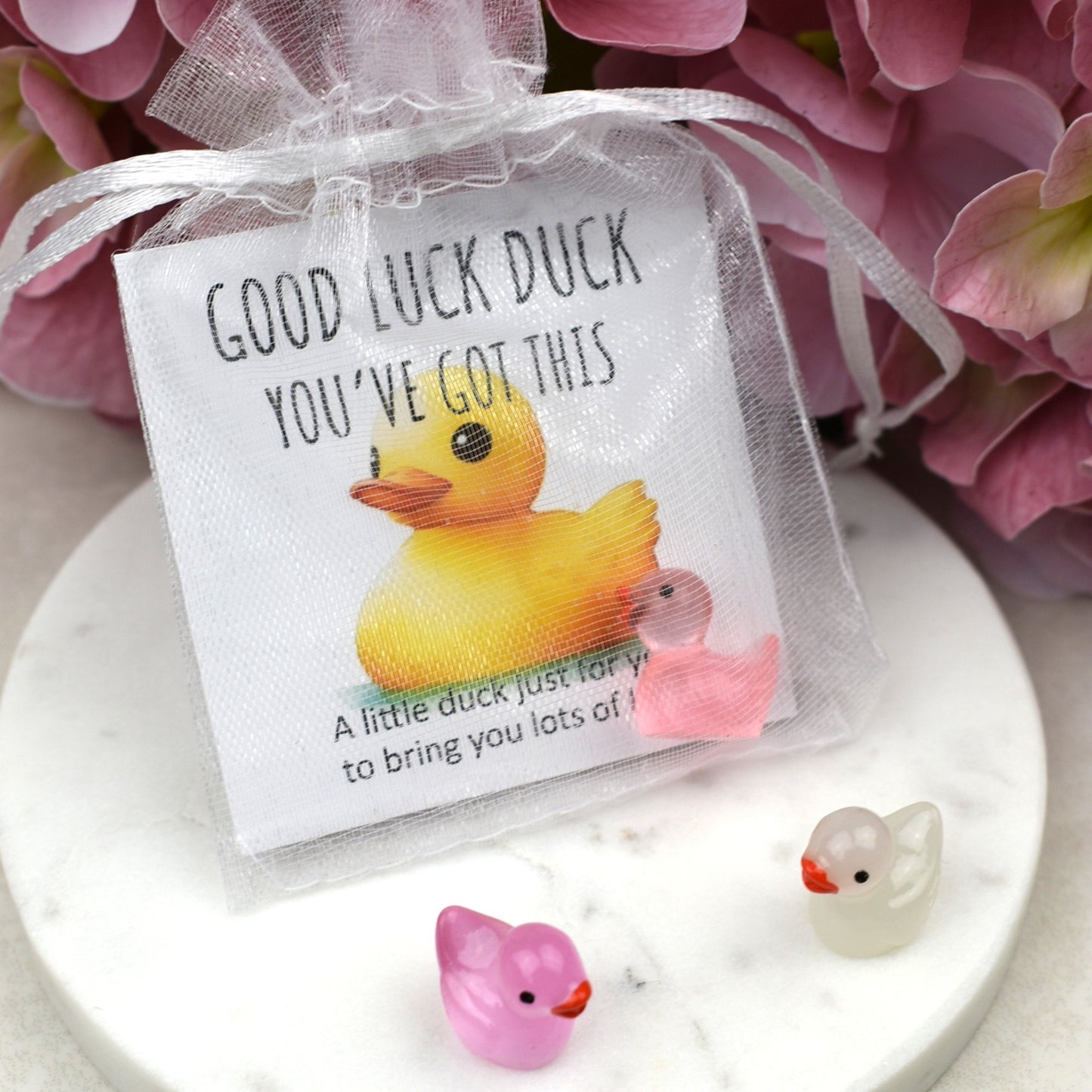 CLEARANCE - Good Luck Duck You've Got This - Luminous Duck